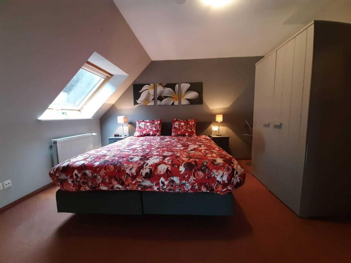 Apartament Haus Am Wolfsbach Zorge Zewnętrze zdjęcie